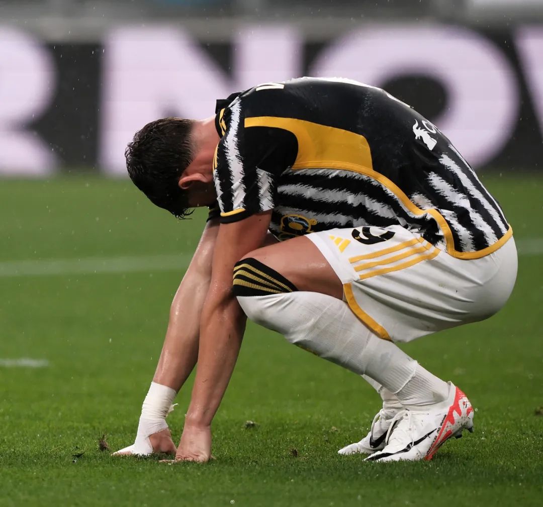 可以预见 可以预见